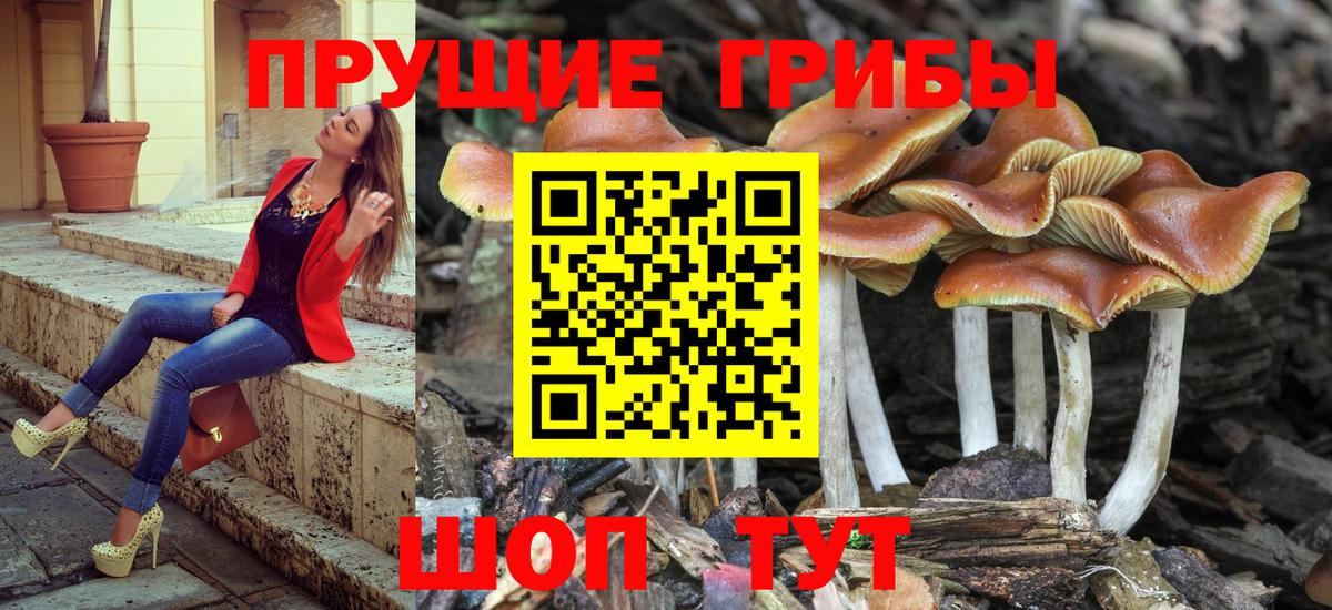 Галлюциногенные грибы мухоморы Железногорск
