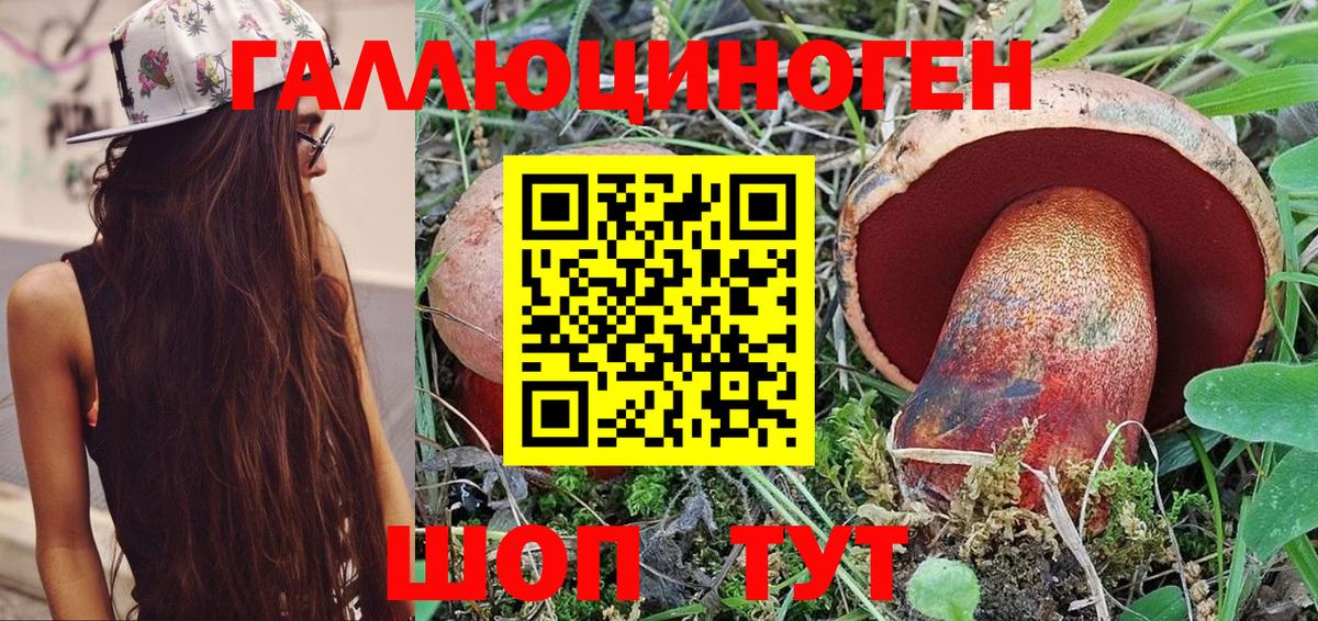 Галлюциногенные грибы прущие грибы  Вход с VPN  Железногорск 